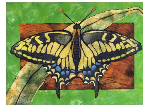 Ricardo Garopaba Blauth