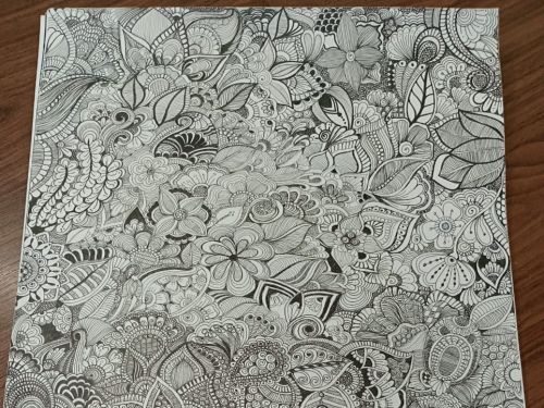 Mariana Henriques Barcelos