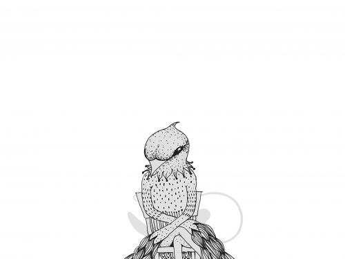 Luzia Ferlauto Lesama