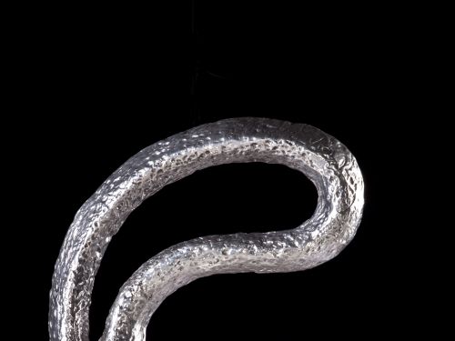 Eduardo Rick Martins