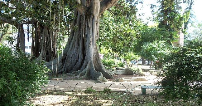 OBSERVATÓRIO ITINERANTE | FLÁVIA LEITE AZAMBUJA