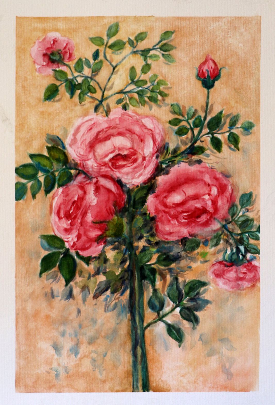 Rosas | Ana Alice