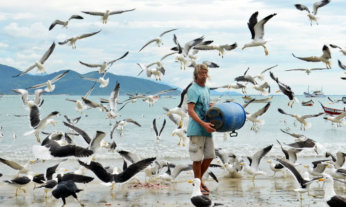  Documentário meio ambiente - Vida e Morte no Paraíso | Suzana Pires