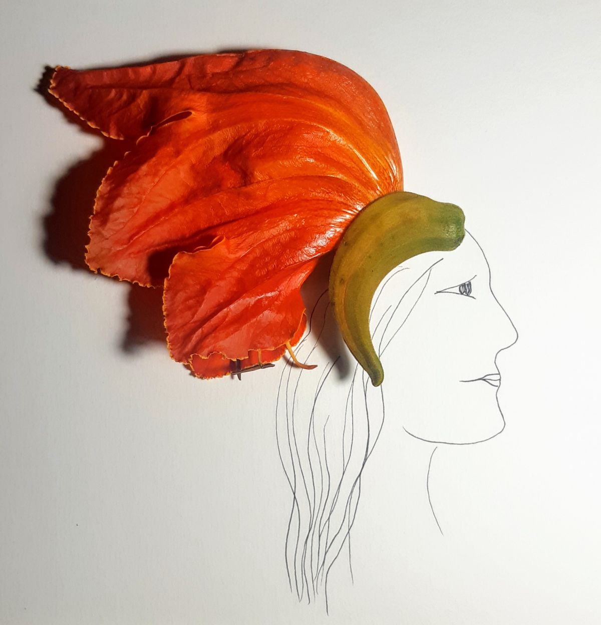 Flor de espatódea, caneta e papel | Nina Blauth