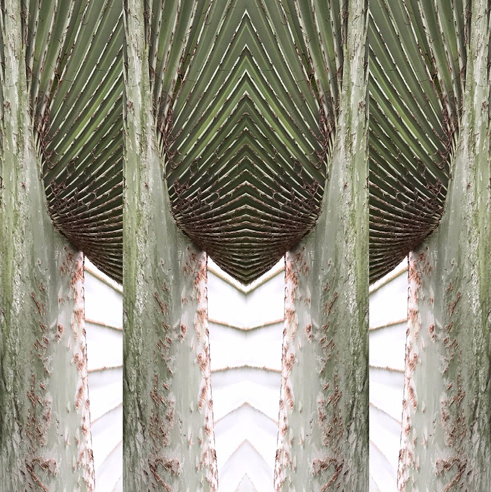 Natural I | Samantha Berg